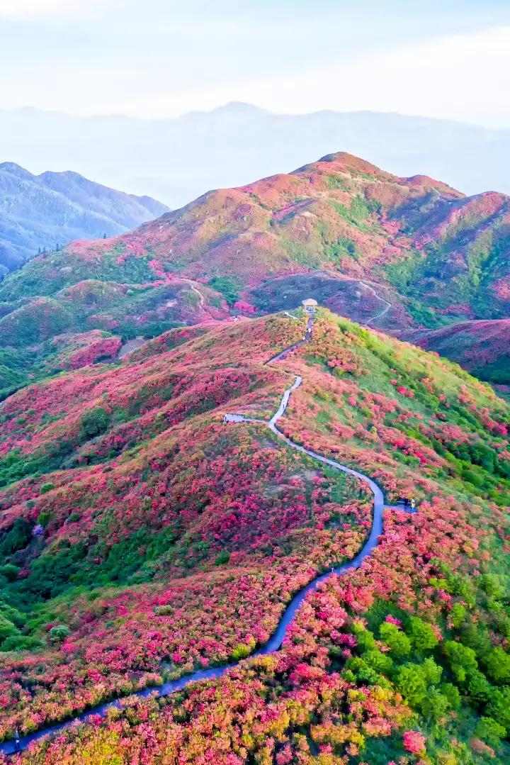 △浏阳大围山，被誉为“湘东绿色明珠”。/视觉中国