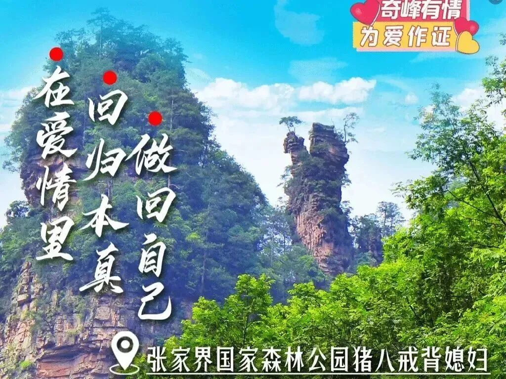 张家界国家森林公园里的“猪八戒背媳妇”/图源：张家界文旅